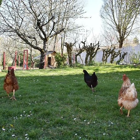 Les Treillettes Puylaurens Exterior foto