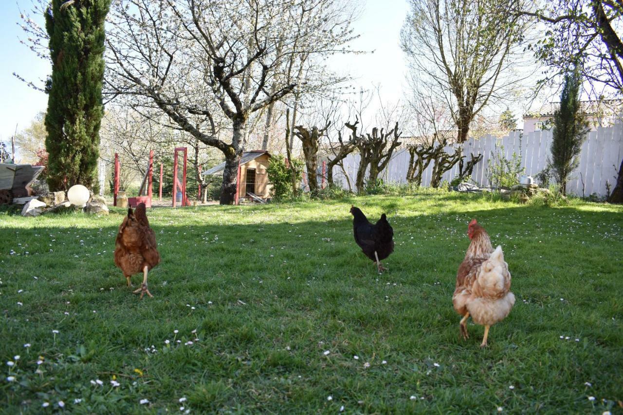 Les Treillettes Puylaurens Exterior foto